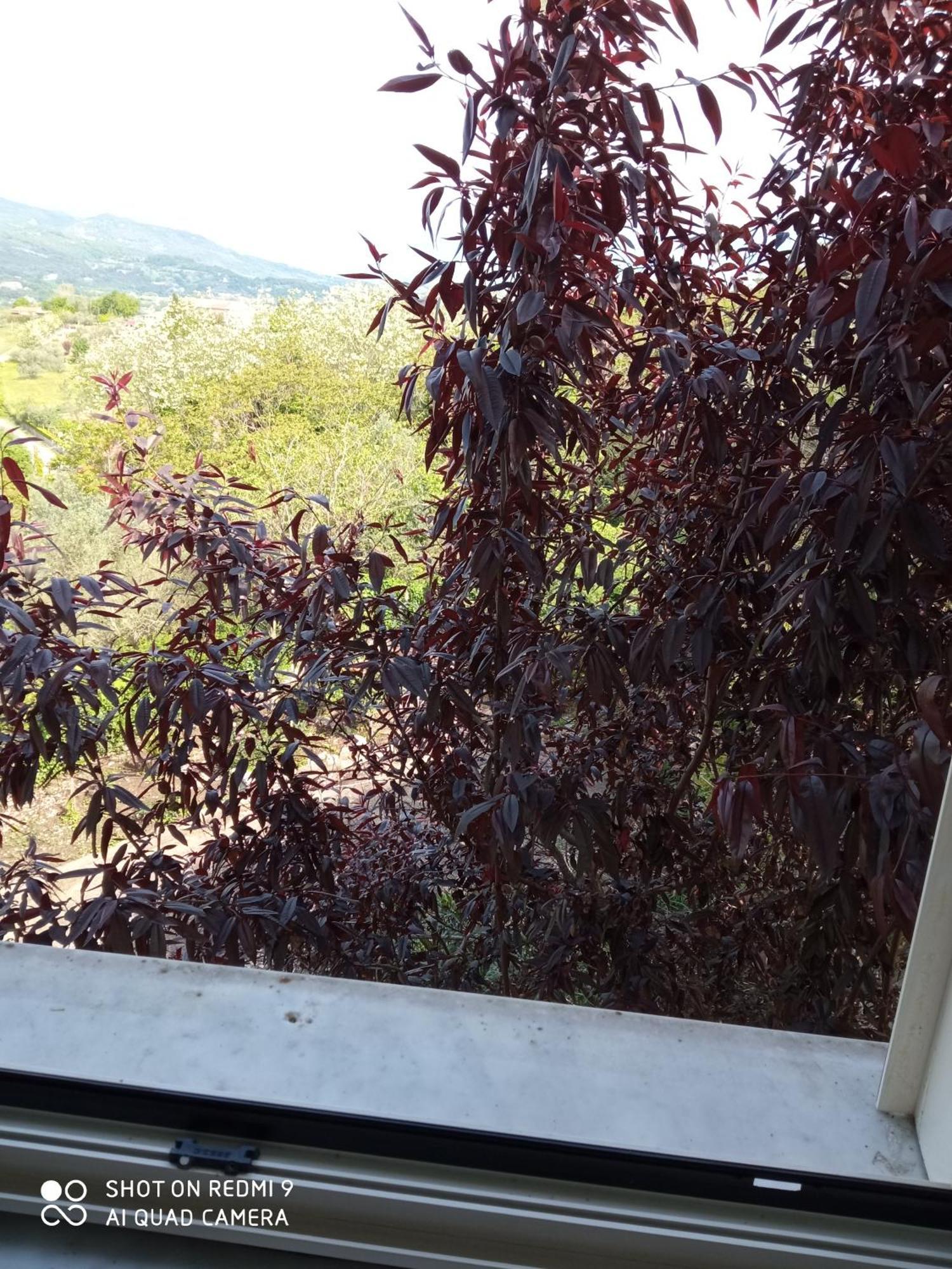Belvedere Di Caiazzo Εξωτερικό φωτογραφία