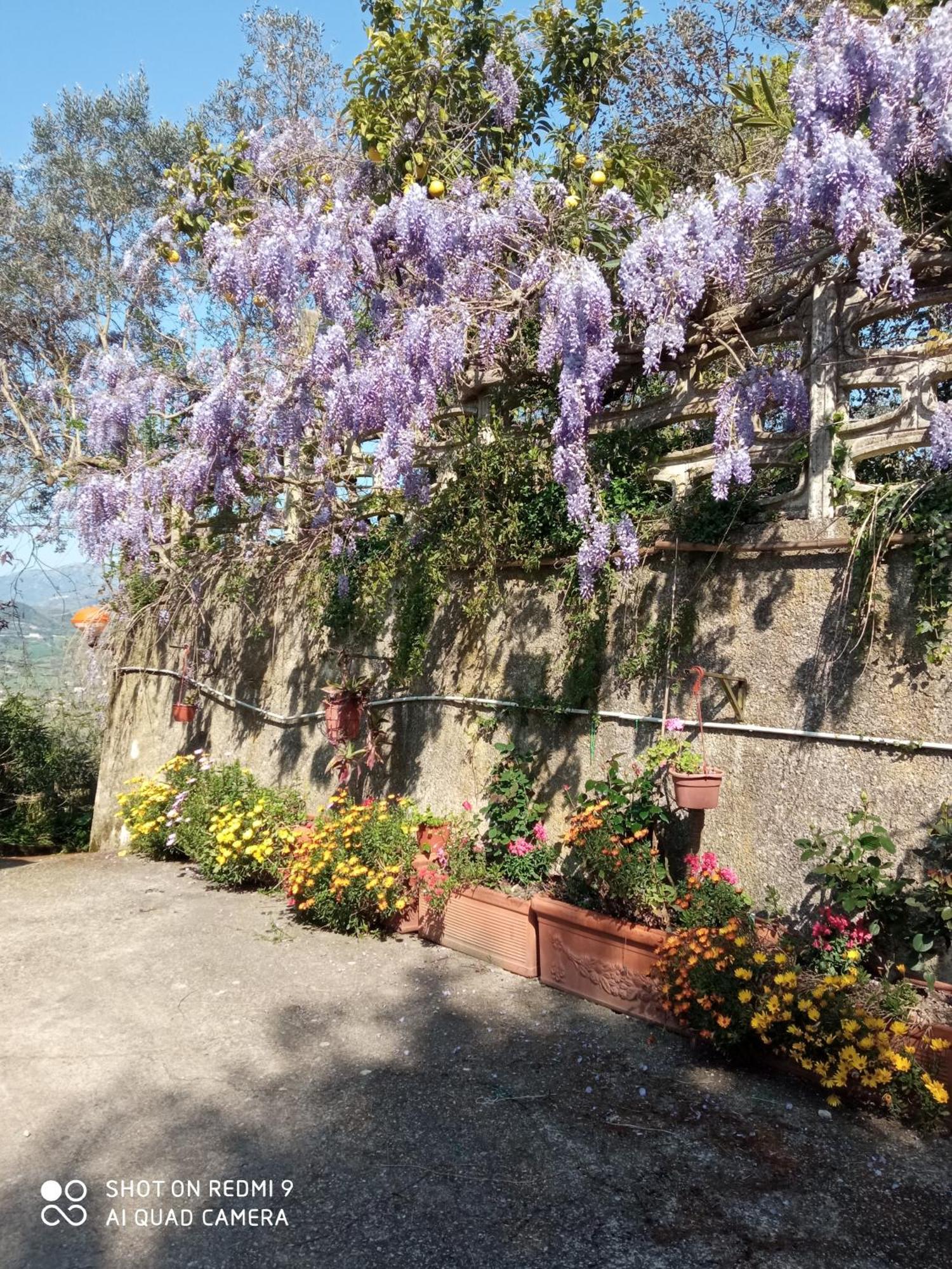 Belvedere Di Caiazzo Εξωτερικό φωτογραφία
