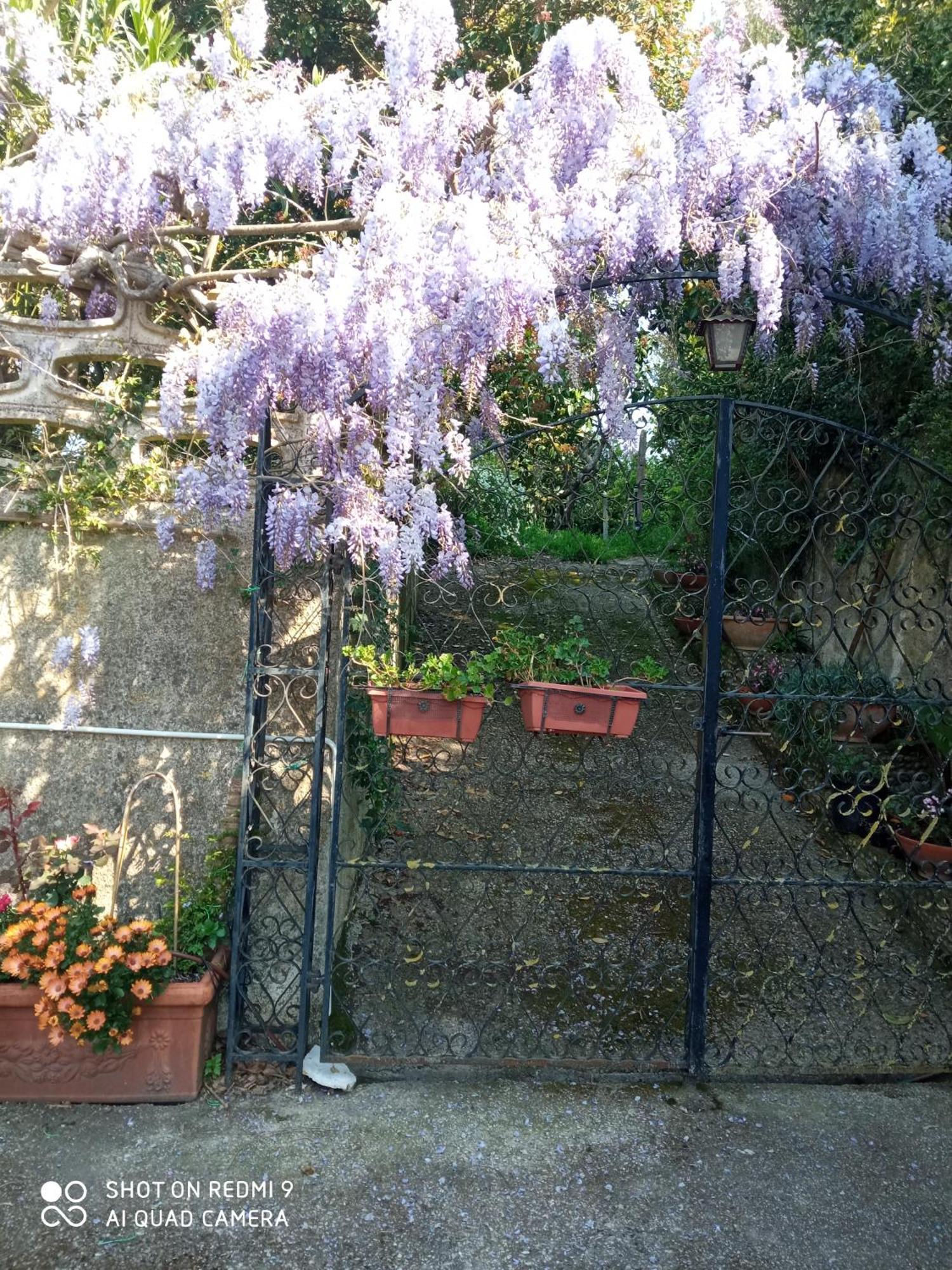 Belvedere Di Caiazzo Εξωτερικό φωτογραφία